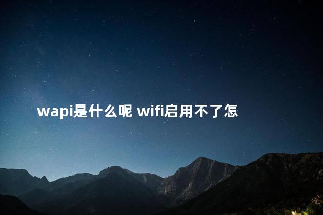 wapi是什么呢 wifi启用不了怎么办